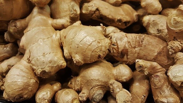 How and When to Harvest Ginger in the USA